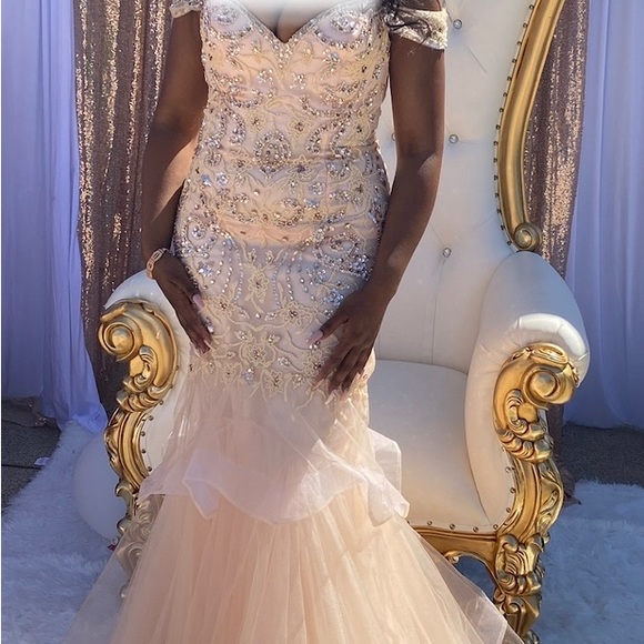 Blush Pink Evening/Prom/Ball Gown - Picture 5 of 6